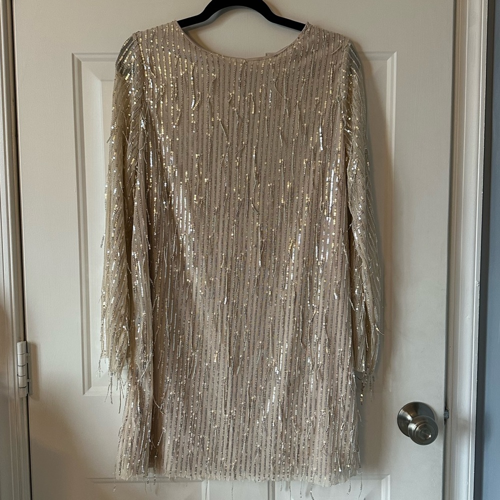 Sequin Long Sleeve Dress